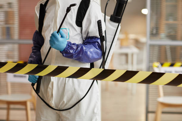Professional Sewage Cleanup technician working in Pierson, FL